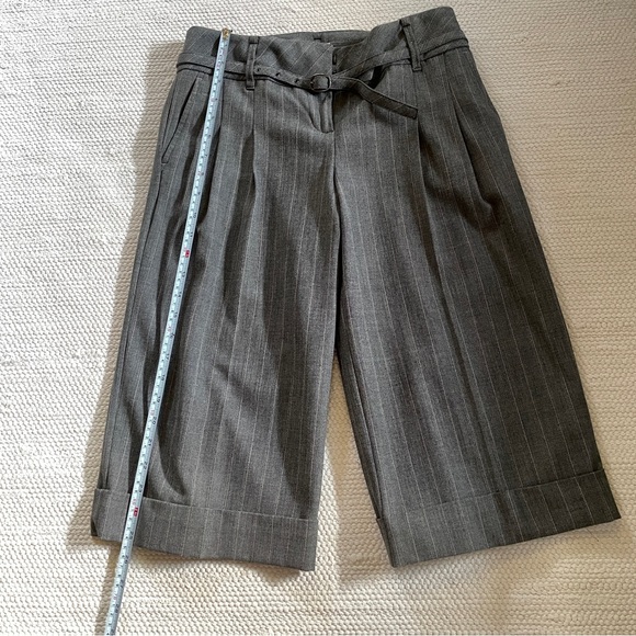 Ann Taylor LOFT Petite Pinstriped Pleated Knee Length Cuff Pants With Belt 2P - Picture 5 of 9